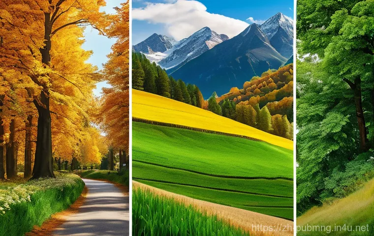 공공관리사 직업의 장단점 - Here are three image prompts in English, generated according to your instructions: